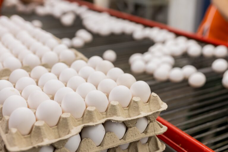 農場スタッフ　Boorowa