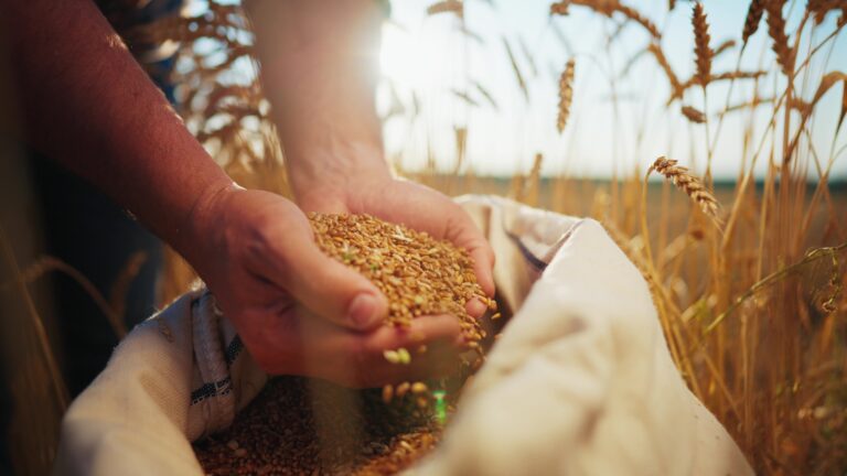 製粉工場スタッフ　Wilton NSW